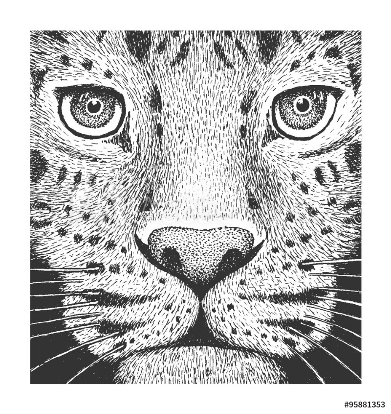Afbeeldingen van Leopard Engraving Illustration